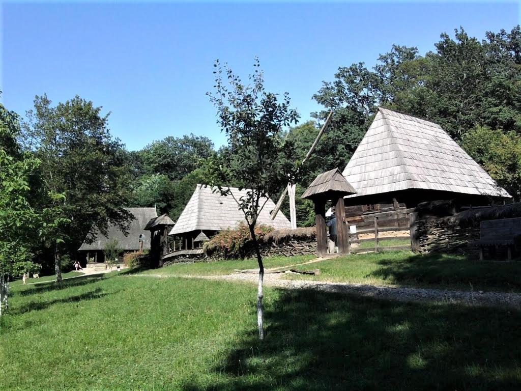 Apartament Giulio Сибиу Экстерьер фото